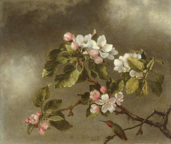 Martin Johnson Heade : Hummingbird And Apple Blossoms
